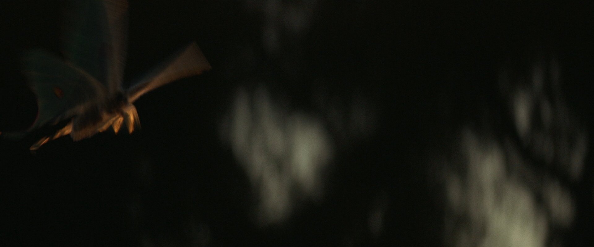 extant_StarTrek_PIC_1x10-EtInArcadiaEgoPart2_4166.jpg