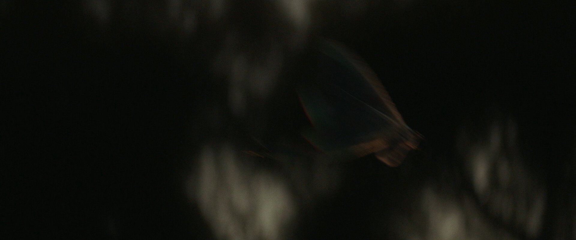 extant_StarTrek_PIC_1x10-EtInArcadiaEgoPart2_4167.jpg
