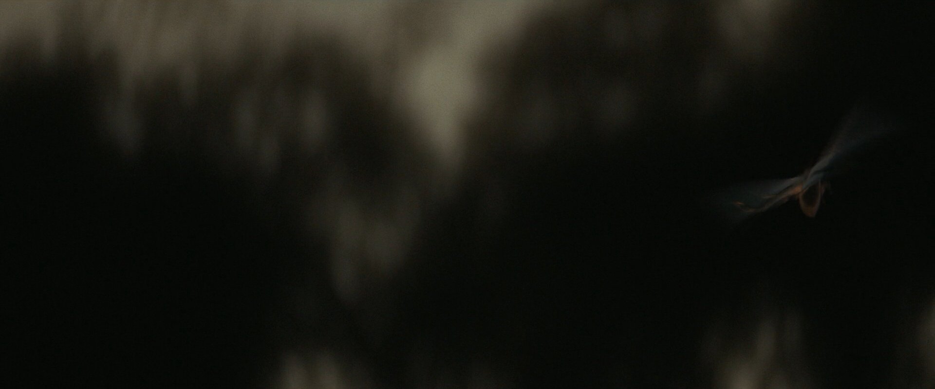 extant_StarTrek_PIC_1x10-EtInArcadiaEgoPart2_4168.jpg