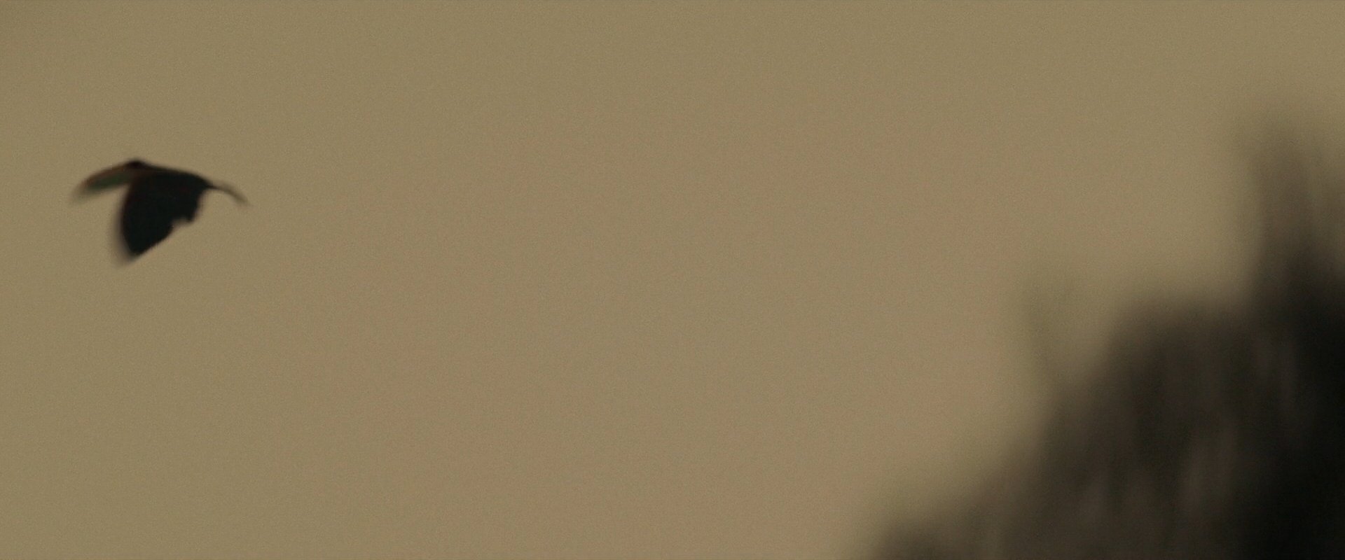 extant_StarTrek_PIC_1x10-EtInArcadiaEgoPart2_4175.jpg