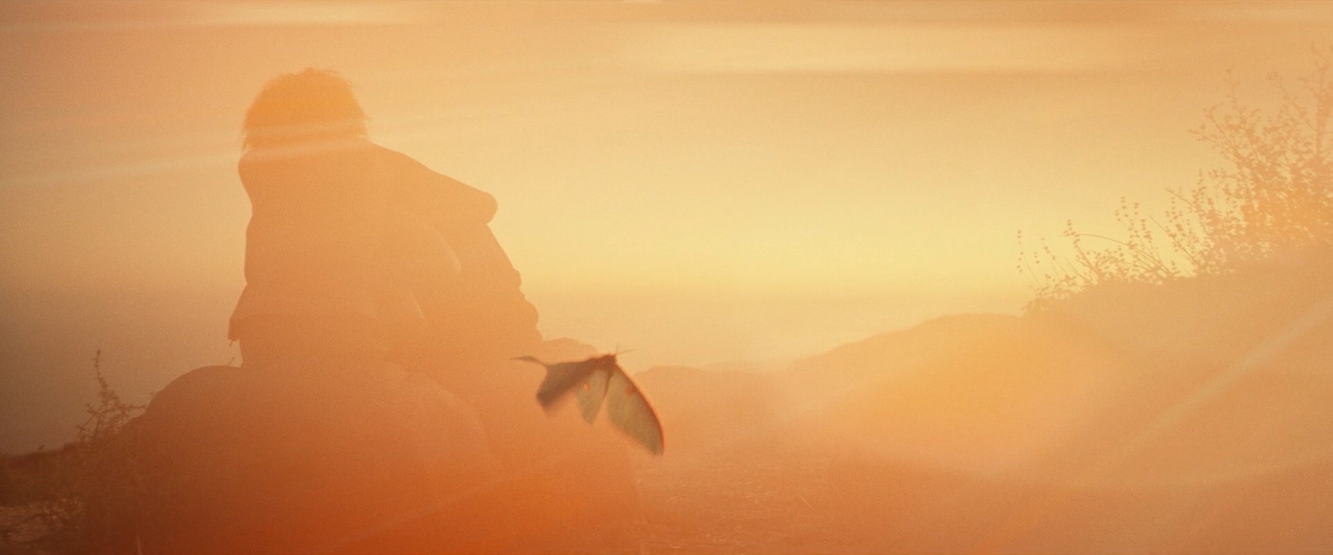 extant_StarTrek_PIC_1x10-EtInArcadiaEgoPart2_4271.jpg