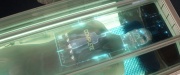 extant_StarTrek_PIC_1x10-EtInArcadiaEgoPart2_1725.jpg
