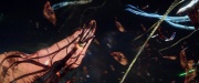 Filename=extant_StarTrek_PIC_1x10-EtInArcadiaEgoPart2_2550.jpg
Filesize=161KiB
Dimensions=1920x800
Date added=Mar 26, 2020 extant_StarTrek_PIC_1x10-EtInArcadiaEgoPart2_2550.jpg