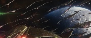 Filename=extant_StarTrek_PIC_1x10-EtInArcadiaEgoPart2_3536.jpg
Filesize=190KiB
Dimensions=1920x800
Date added=Mar 26, 2020 extant_StarTrek_PIC_1x10-EtInArcadiaEgoPart2_3536.jpg