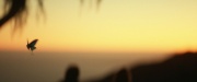 Filename=extant_StarTrek_PIC_1x10-EtInArcadiaEgoPart2_4154.jpg
Filesize=109KiB
Dimensions=1920x800
Date added=Mar 26, 2020 extant_StarTrek_PIC_1x10-EtInArcadiaEgoPart2_4154.jpg