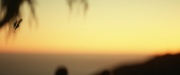 Filename=extant_StarTrek_PIC_1x10-EtInArcadiaEgoPart2_4155.jpg
Filesize=111KiB
Dimensions=1920x800
Date added=Mar 26, 2020 extant_StarTrek_PIC_1x10-EtInArcadiaEgoPart2_4155.jpg