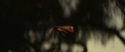 Filename=extant_StarTrek_PIC_1x10-EtInArcadiaEgoPart2_4164.jpg
Filesize=124KiB
Dimensions=1920x800
Date added=Mar 26, 2020 extant_StarTrek_PIC_1x10-EtInArcadiaEgoPart2_4164.jpg