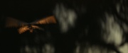 Filename=extant_StarTrek_PIC_1x10-EtInArcadiaEgoPart2_4165.jpg
Filesize=109KiB
Dimensions=1920x800
Date added=Mar 26, 2020 extant_StarTrek_PIC_1x10-EtInArcadiaEgoPart2_4165.jpg