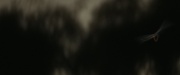 Filename=extant_StarTrek_PIC_1x10-EtInArcadiaEgoPart2_4168.jpg
Filesize=82KiB
Dimensions=1920x800
Date added=Mar 26, 2020 extant_StarTrek_PIC_1x10-EtInArcadiaEgoPart2_4168.jpg